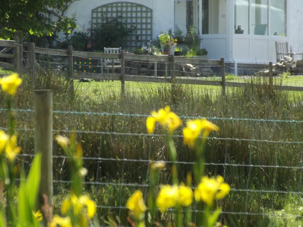 The Swallows Guest House New Quay  Quarto foto