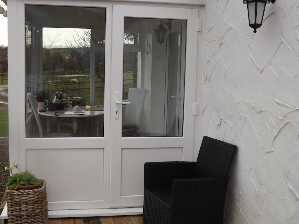 The Swallows Guest House New Quay  Quarto foto